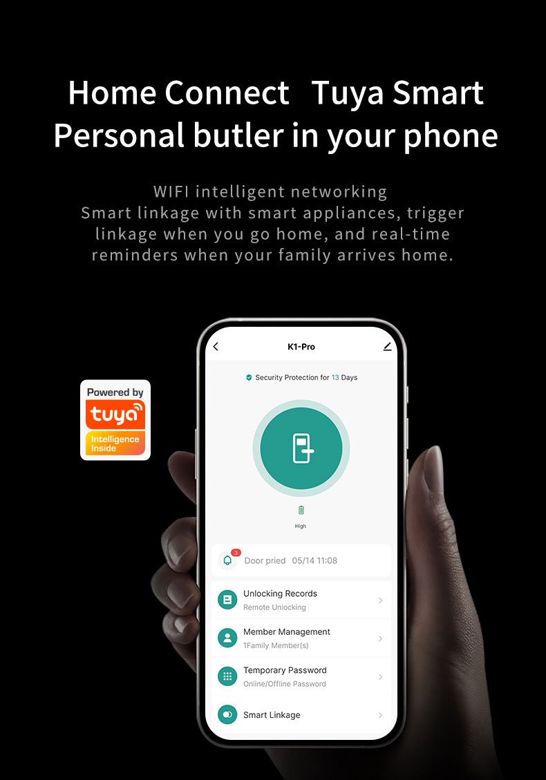 Smart Door Lock Big - Image 10