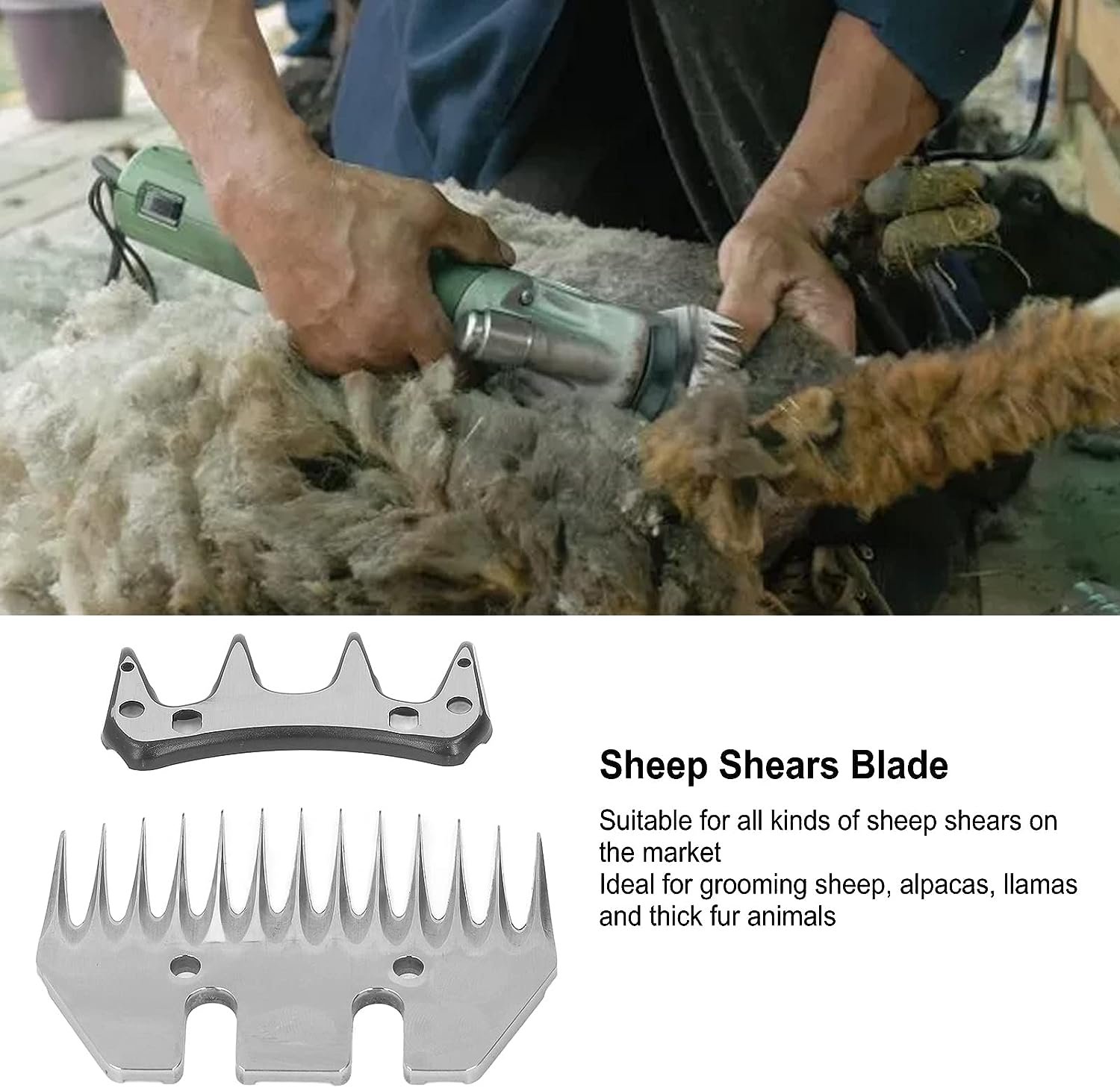 Blade for Sheep Clipper - Image 4