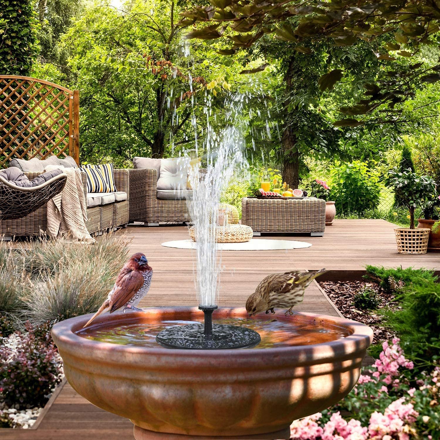 Solar Fountain - Image 8