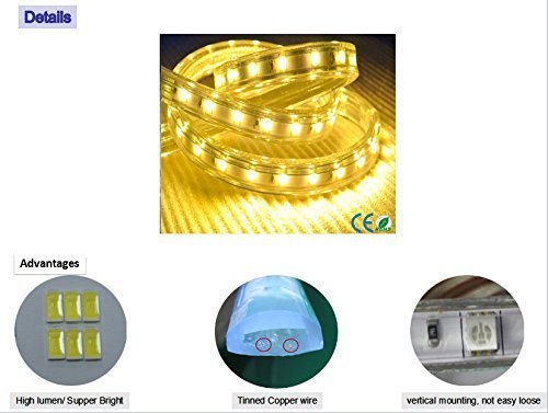 LED Strip Light 10 MM - Image 5