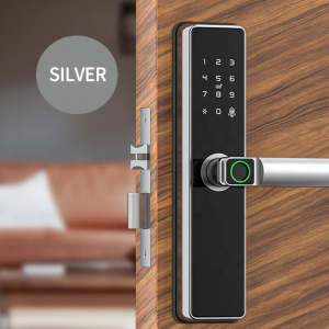 Smart Door Lock Silver