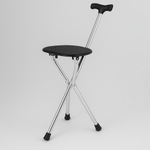 Folding Walking Stick/Seat Black